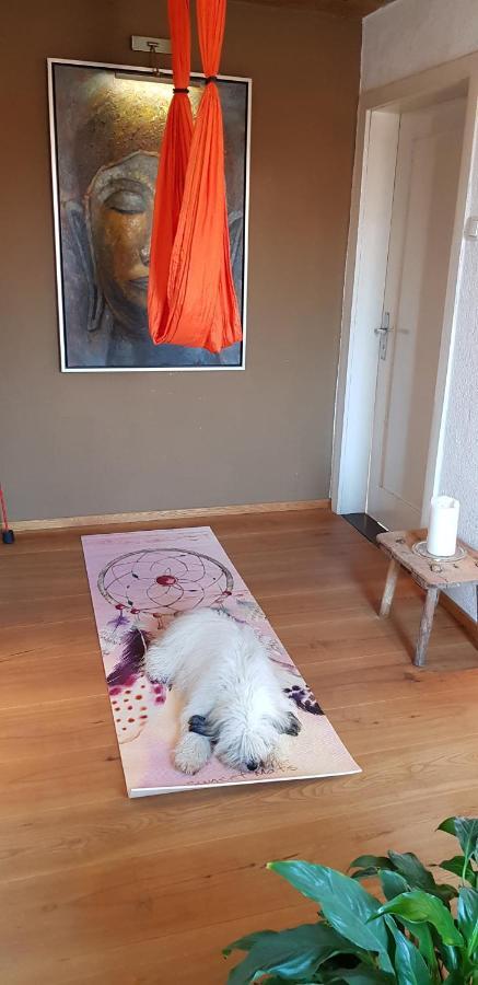 Kleines Haeuschen Im Gruenen Villa Monheim  Exterior foto